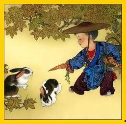 属兔最新爆料,揭秘生肖兔的神秘面纱